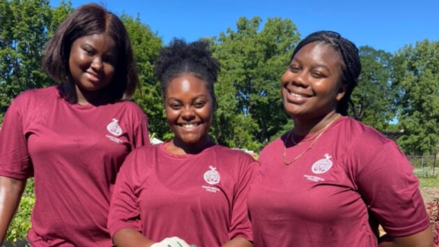 学生穿着石榴石奥尔巴尼医学院的衬衫并参加服务的一天以协助非营利组织Capital Roots。