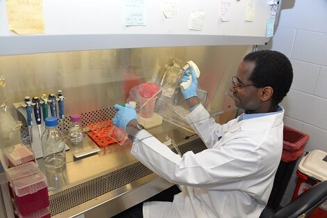 DR。免疫学和微生物疾病系的Kouacou Konan在实验室工作